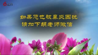 濞老祖农村鹅都不吃的草，却是治鼻炎的妙方，女朋友的5年的鼻炎现已康复