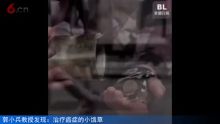 语言的力量