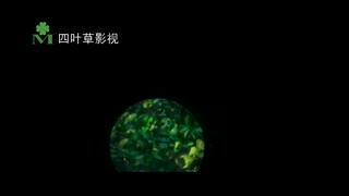 史上最浪漫 婚礼开场视频星光版震撼预告片 江南style