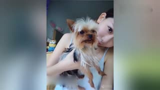 酷似女神林志玲校花捧宠物卖萌 被赞有爱心