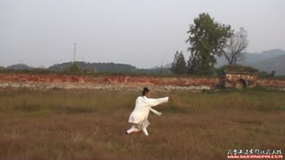 龙华拳 武当山经典传统武术馆