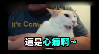 讨好朕 其实不难