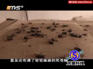 榨油用坏花生易致癌 人与人之间的基本信任呢