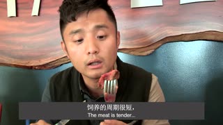 中国博主悉尼美食美酒之旅（下集）