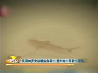 10岁女孩遭鲨鱼袭击 重回海中勇救小伙伴