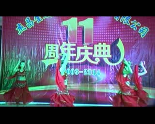 杰昌金属表面处理技术有限公司11周年庆典晚会（四）