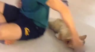 超萌陆战队 我比大白还暖萌