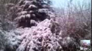雪后的早晨