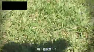 换个角度看世界吧