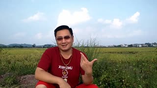 草根旺城上班族