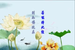 法华子答问解疑之怎样转识成智