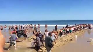 美国海滩3米长大白鲨搁浅 游客 接力 援救