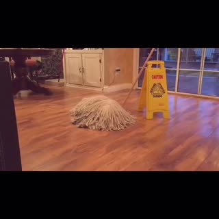 我真的不是拖把