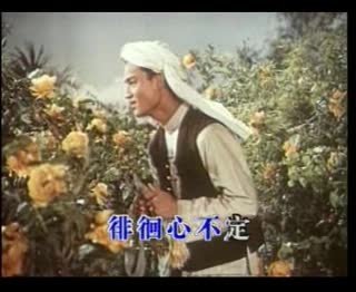 蝴蝶泉边[雨音组合]