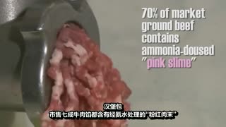 吓人事实煲味传奇电话各种鲜美食材的荟萃