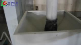 鲁曹高新日产15吨玉米碴加工机组玉米糁机组视频