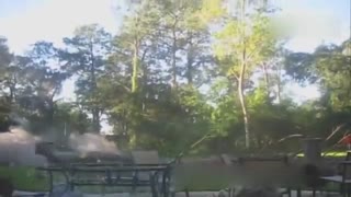 我与一棵树的心酸事 大中午的笑出抬头纹了！