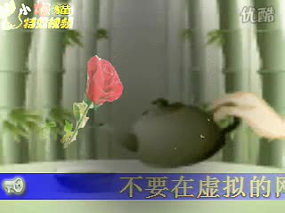 不要在虚拟的网络里说爱我