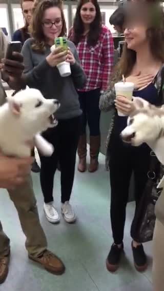 瞅啥瞅 瞅你咋的