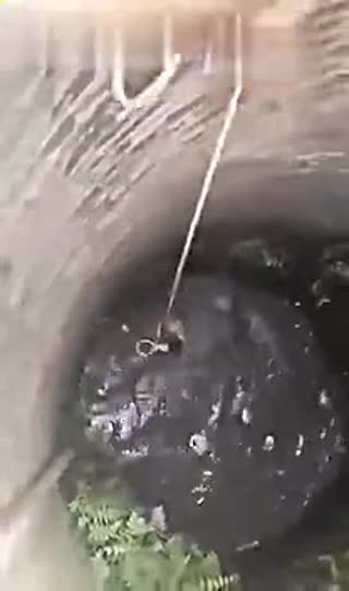 实拍路人拯救落水狗全过程