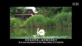 欧世蒙牛牛奶最新事件：粉宣传片.flv