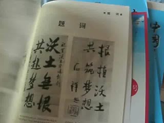 书画家王炳峰入编中国报告文学季刊《沃土》