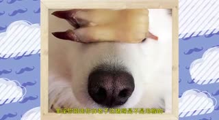 小孩子为什么都喜欢让妈妈抱