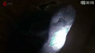 翡翠原石 大涨  高冰天空蓝