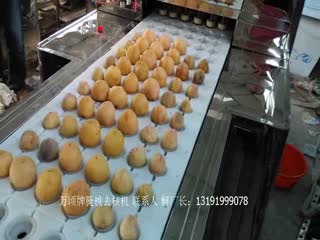 腌桃去核机，万顷制造