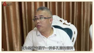 抗癌之王桑黄