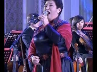 【谭晶】阿里郎--管弦编曲版无损音质原版伴奏