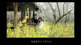 三生三世十里桃花.flv