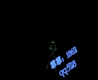 杭州黑鸭子组合高端创意新颖电光舞演出