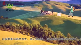 评茶记：你喝过波力海苔般的太平猴魁吗？