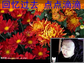 菊——独幽