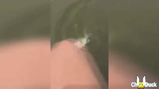 老外逗比傻缺集锦