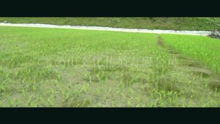 和谐农家、美丽乡村之南猛