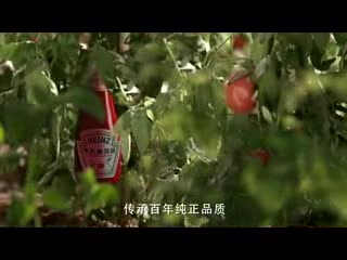 长出来的亨氏番茄酱