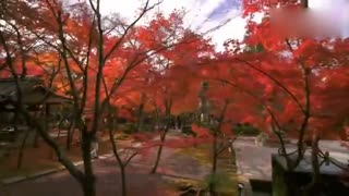 慢镜头下的日本京都 体会美美的风景人文