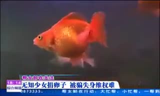 无知少女捐卵子 遭诱骗先失身再卖卵