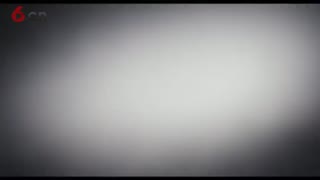 抗震止颤汤