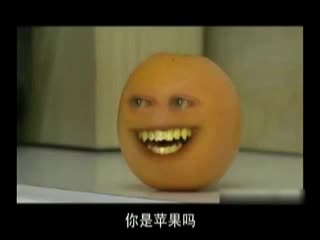 你身边有这样没完没了的橙子吗