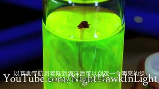 科技宅速速进来！ 在家提取荧光剂 