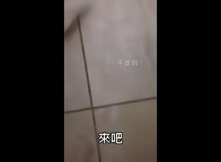 打死不洗澡的哈士奇