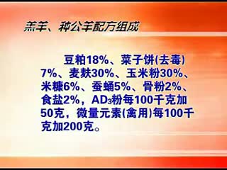养殖波尔山羊必看-史上最全的波尔山羊养殖技术.flv