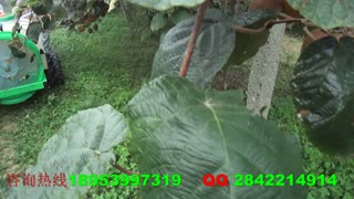 打药神器果哈哈果园打药机