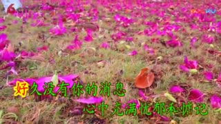 最新网络伤感歌曲《网络不了情》伤感情歌原创MV歌曲流行歌曲1