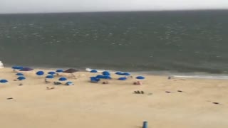 一大波遮阳伞在海边自由的奔跑着……