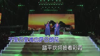 追风的骏马 - 追风骏马组合