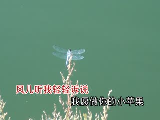 河静静-我是你的小苹果 双轨音频（原MV）